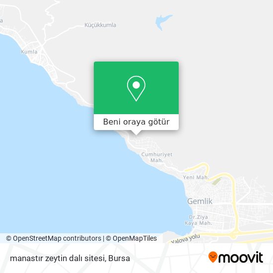manastır zeytin dalı sitesi harita