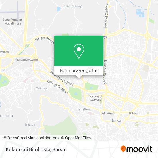 Kokoreçci Birol Usta harita