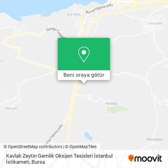 Kavlak Zeytin Gemlik Oksijen Tesisleri İstanbul İstikameti harita