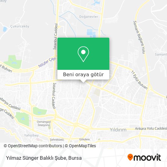 Yılmaz Sünger Balıklı Şube harita