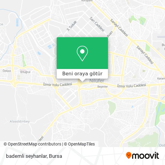 bademli seyhanlar harita
