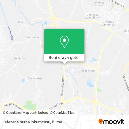 efezade bursa lokumcusu harita