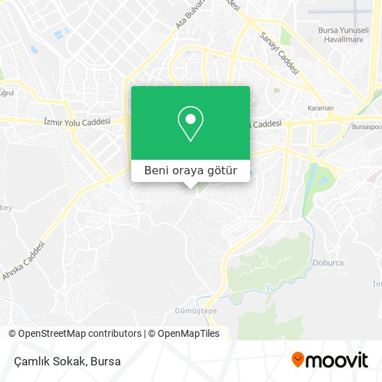 Çamlık Sokak harita