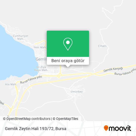 Gemlik Zeytin Hali 193/72 harita