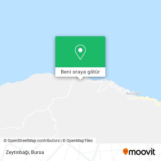 Zeytinbağı harita