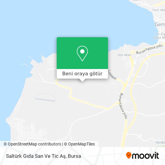 Saltürk Gıda San Ve Tic Aş harita