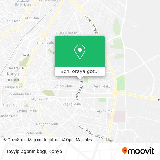 Tayyip ağanın bağı harita