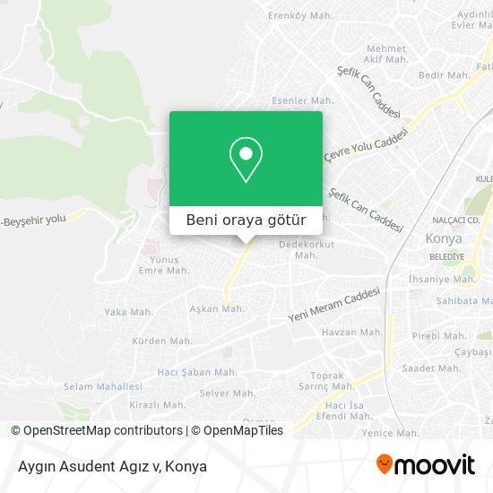 Aygın Asudent Agız v harita