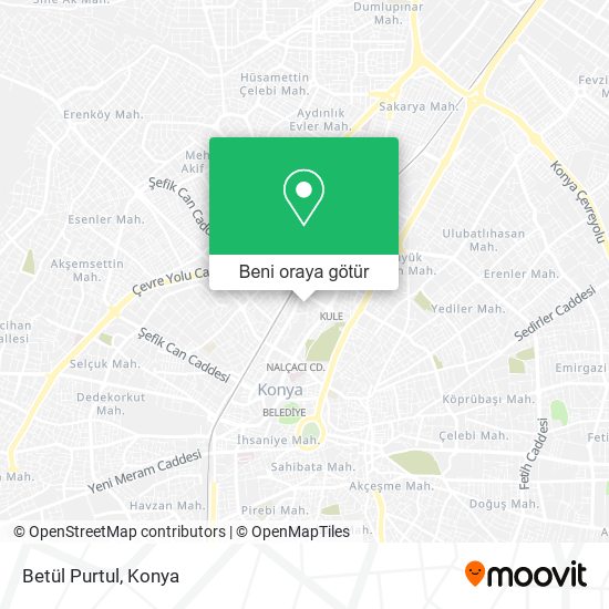 Betül Purtul harita