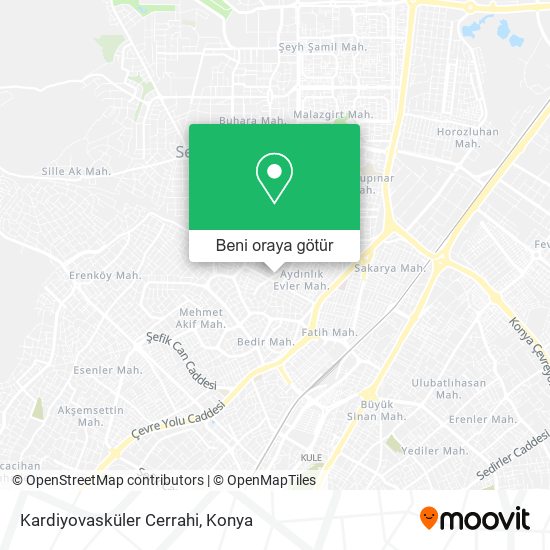 Kardiyovasküler Cerrahi harita