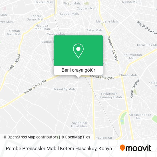 Pembe Prensesler Mobil Ketem Hasanköy harita