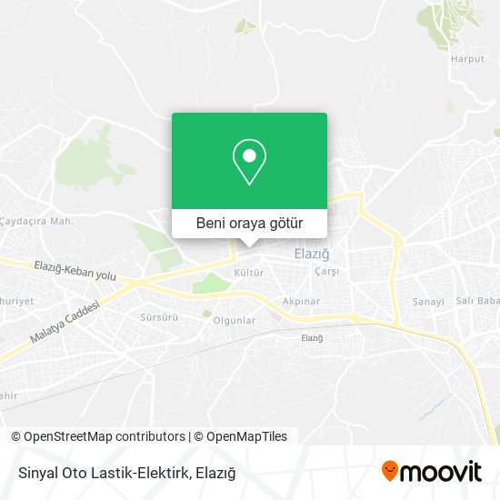 Sinyal Oto Lastik-Elektirk harita