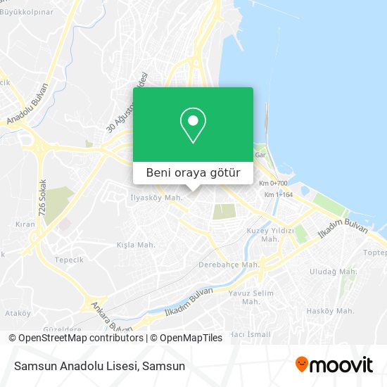 Samsun Anadolu Lisesi harita