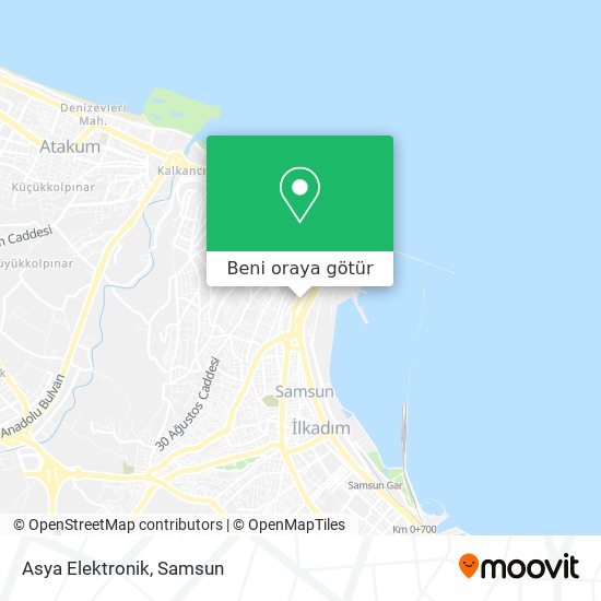 Asya Elektronik harita