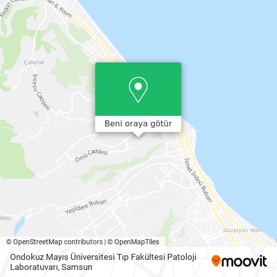 Ondokuz Mayıs Üniversitesi Tıp Fakültesi Patoloji Laboratuvarı harita