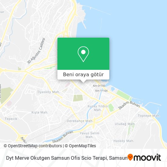 Dyt Merve Okutgen Samsun Ofis Scio Terapi harita