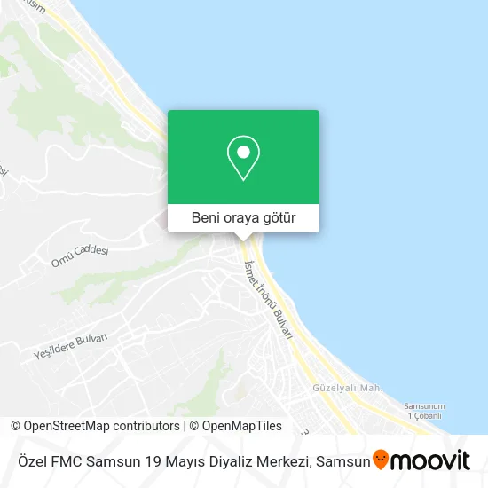 Özel FMC Samsun 19 Mayıs Diyaliz Merkezi harita