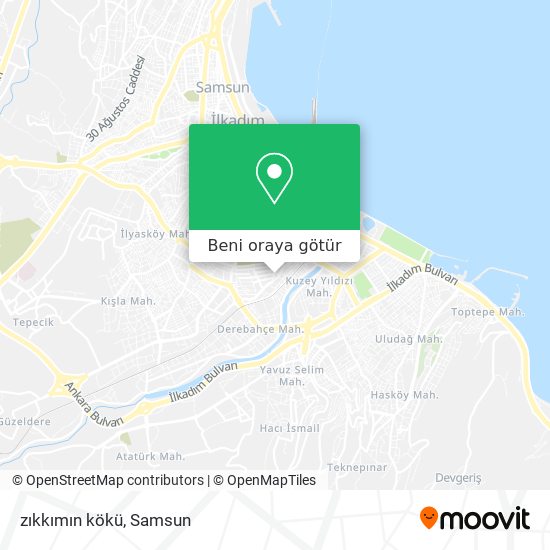 zıkkımın kökü harita