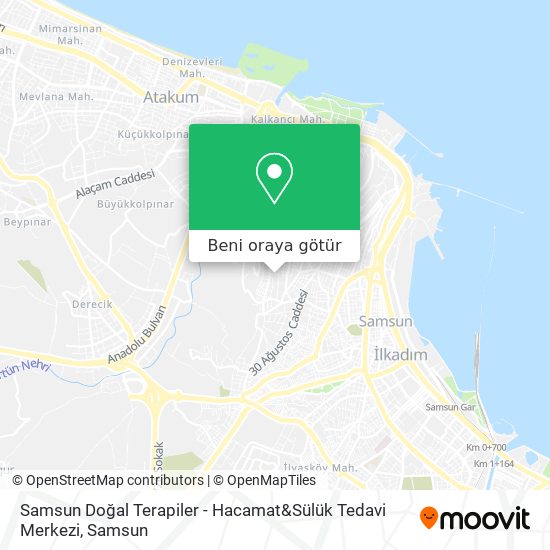Samsun Doğal Terapiler - Hacamat&Sülük Tedavi  Merkezi harita