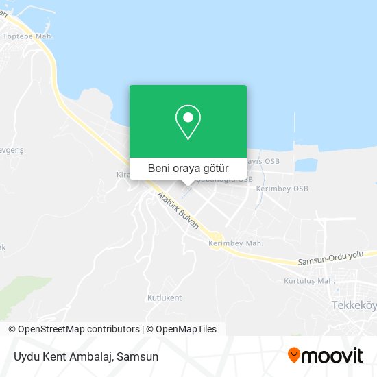 Uydu Kent Ambalaj harita