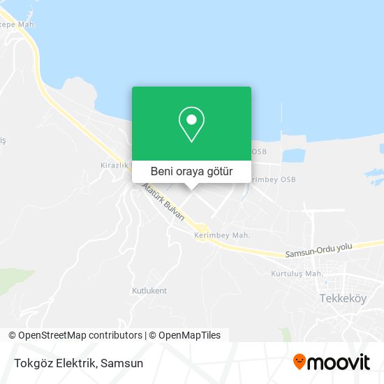 Tokgöz Elektrik harita