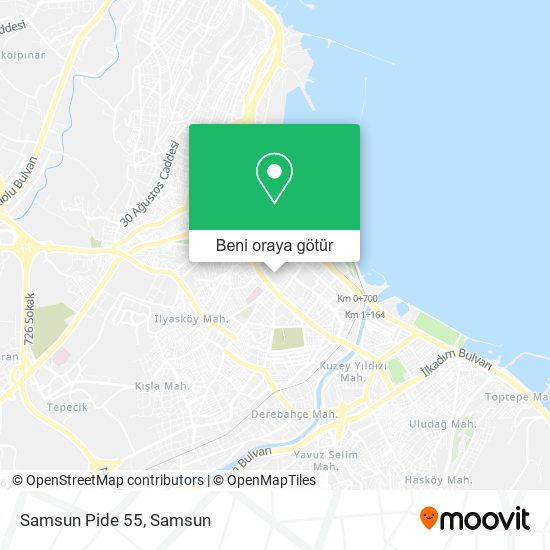 Samsun Pide 55 harita
