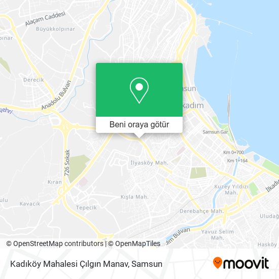 Kadıköy Mahalesi Çılgın Manav harita