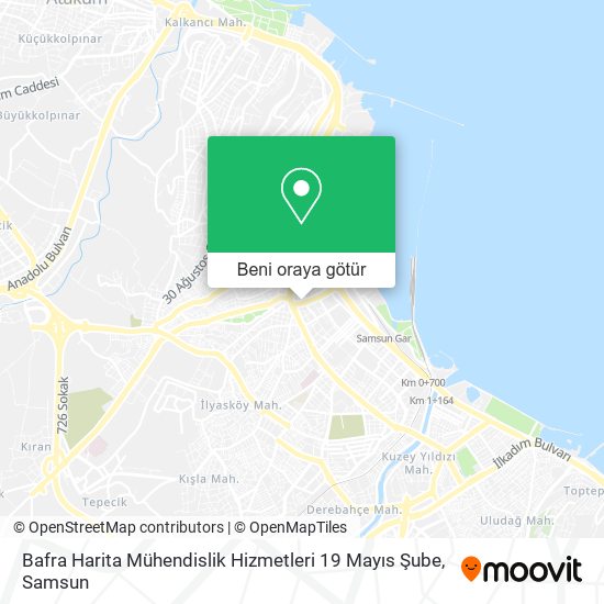 Bafra Harita Mühendislik Hizmetleri 19 Mayıs Şube harita