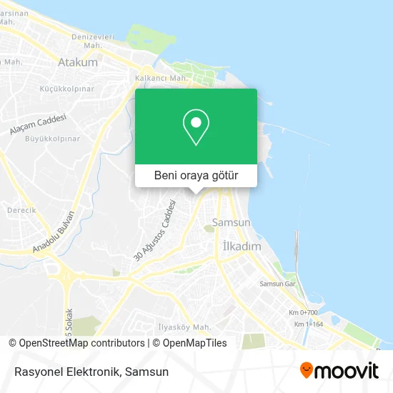 Rasyonel Elektronik harita