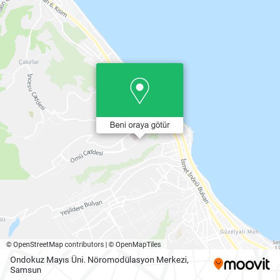 Ondokuz Mayıs Üni. Nöromodülasyon Merkezi harita