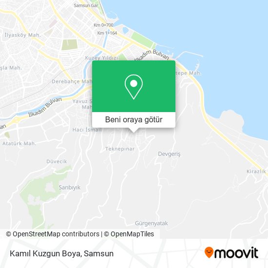 Kamıl Kuzgun Boya harita