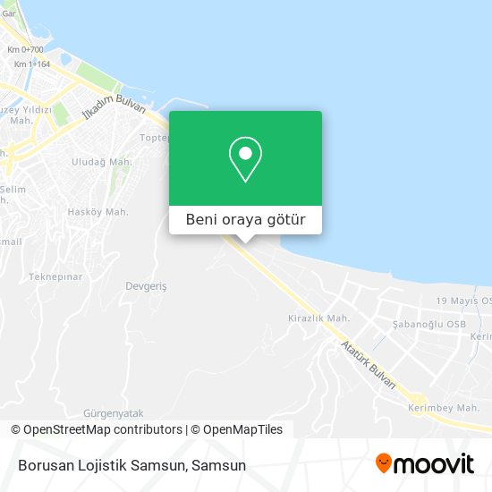 Borusan Lojistik Samsun harita