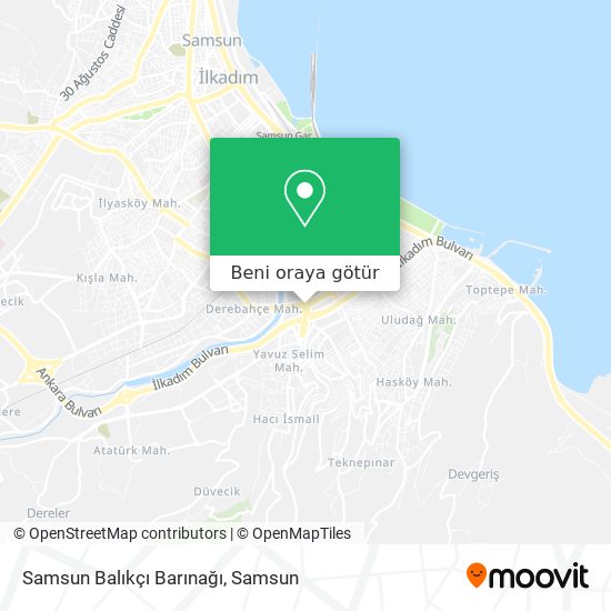 Samsun Balıkçı Barınağı harita