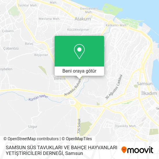 SAMSUN SÜS TAVUKLARI VE BAHÇE HAYVANLARI YETİŞTİRİCİLERİ DERNEĞİ harita
