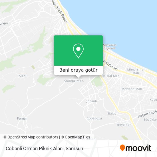 Cobanli Orman Piknik Alani harita