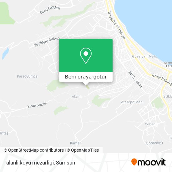 alanli koyu mezarligi harita