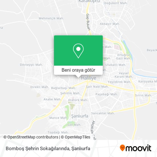 Bomboş Şehrin Sokağılarında harita