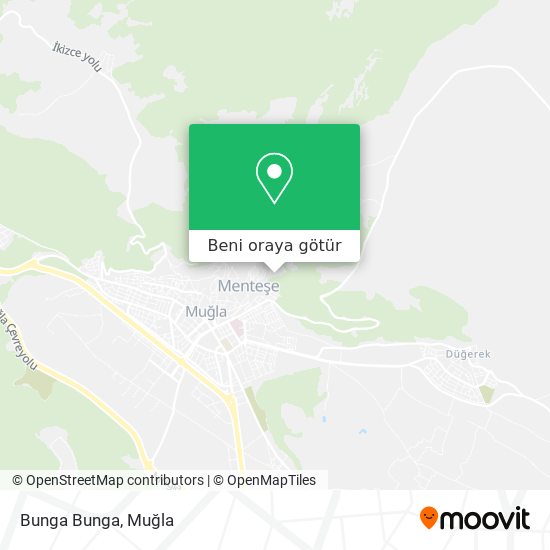 Bunga Bunga harita