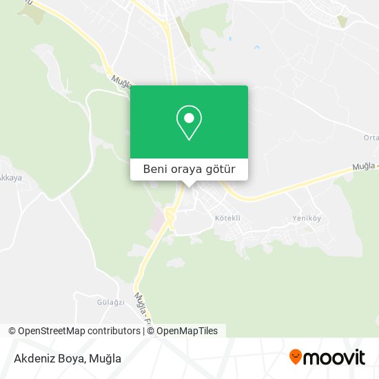 Akdeniz Boya harita