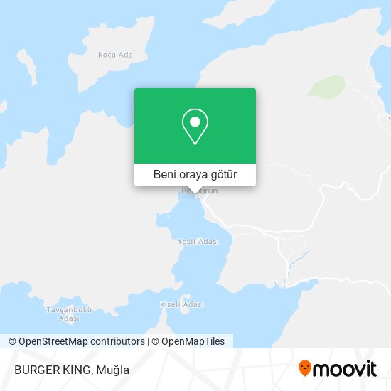 BURGER KING harita
