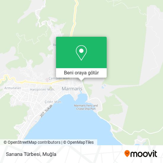 Sarıana Türbesi harita