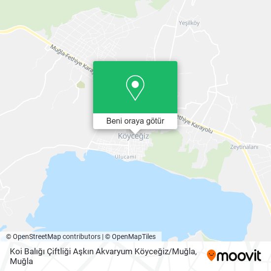 Koi Balığı Çiftliği Aşkın Akvaryum Köyceğiz / Muğla harita