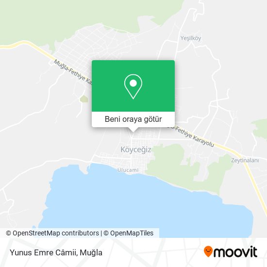 Yunus Emre Câmii harita
