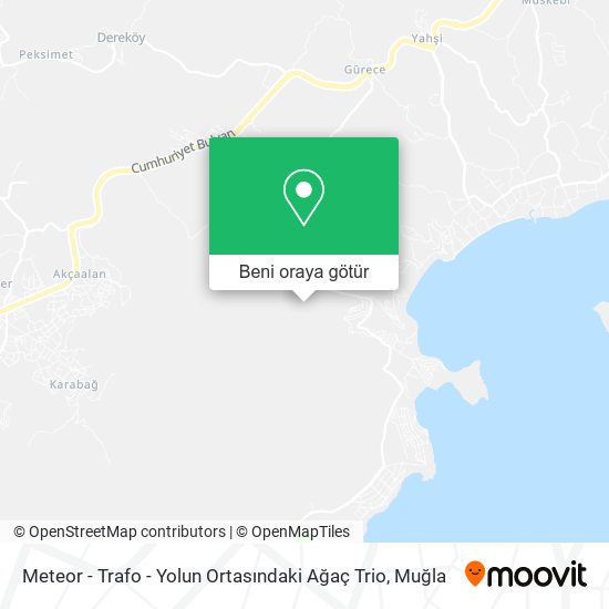 Meteor - Trafo - Yolun Ortasındaki Ağaç Trio harita