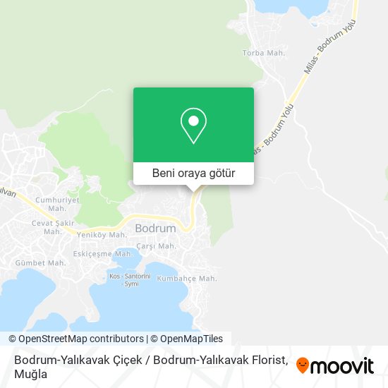 Bodrum-Yalıkavak Çiçek / Bodrum-Yalıkavak Florist harita