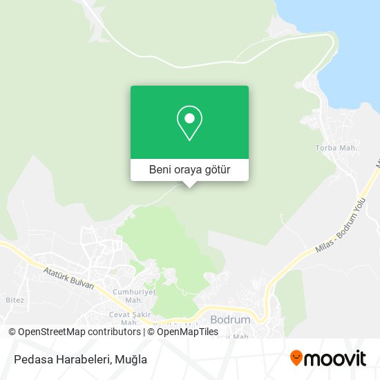 Pedasa Harabeleri harita