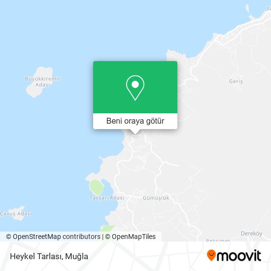 Heykel Tarlası harita