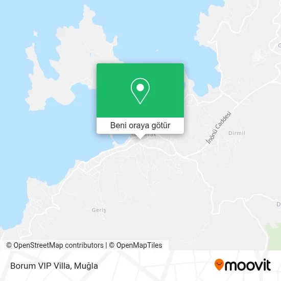 Borum VIP Villa harita