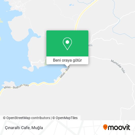 Çınaraltı Cafe harita