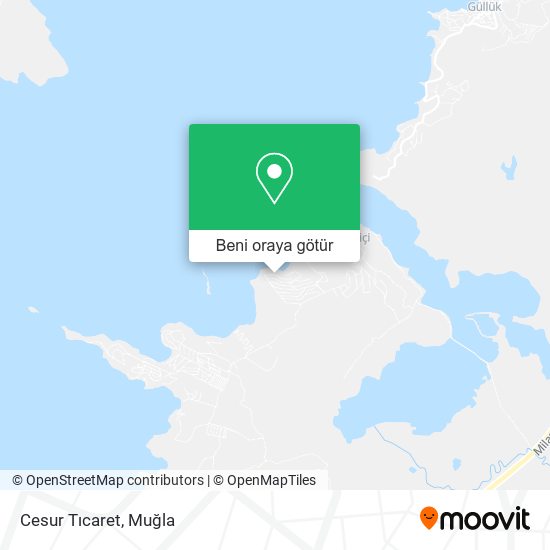 Cesur Tıcaret harita